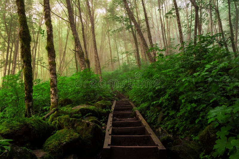 Bridal Veil Falls Washington Photos Free Royalty Free Stock Photos From Dreamstime