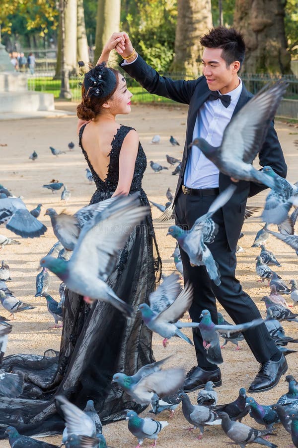 Bridal пары на стрельбе фото с голубями на Нотр-Дам, парами, Францией стоковое изображение rf