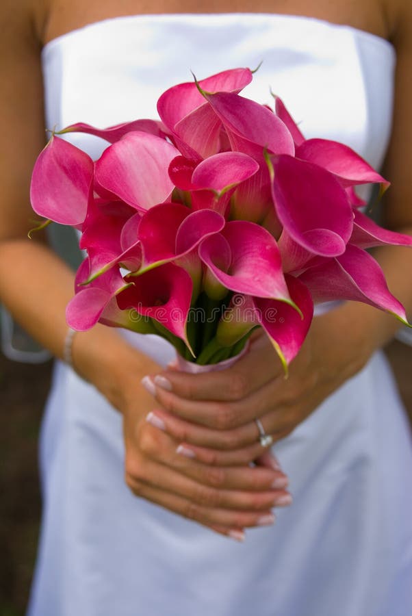 Bride flowers stock photography Bride flowers stock photography