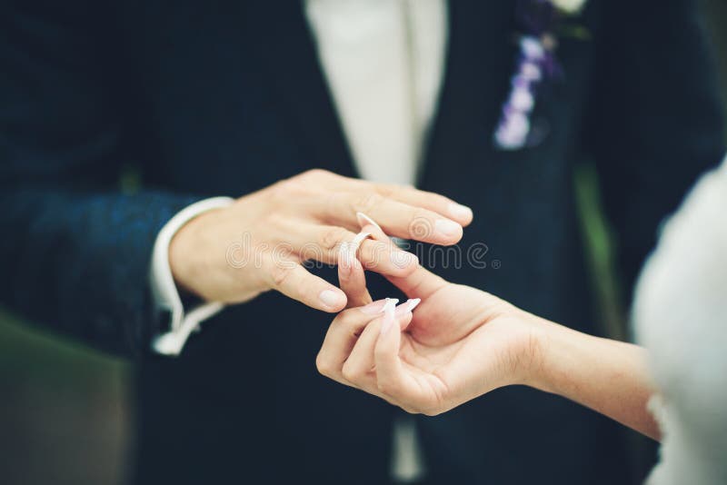Bride and Groom Exchanging Wedding Rings Stock Photo Image of