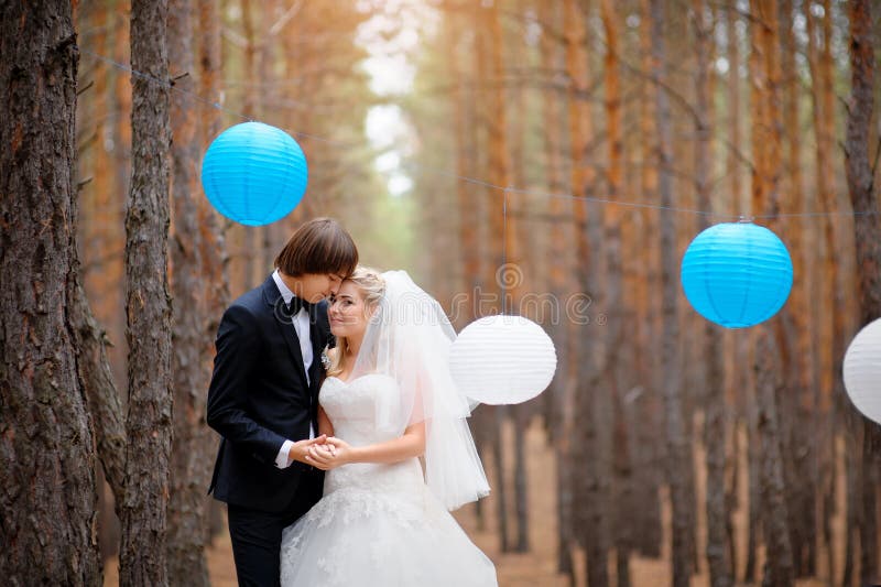 Bride and groom in forest stock images Bride and groom in forest stock images