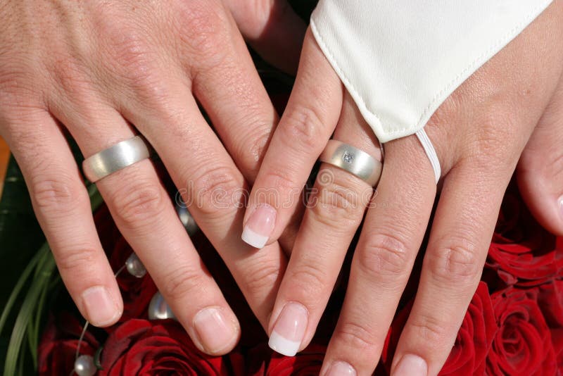 Bride and groom holding hands royalty free stock image