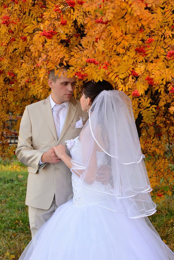 The bride groom holding hands under the autumn rowan