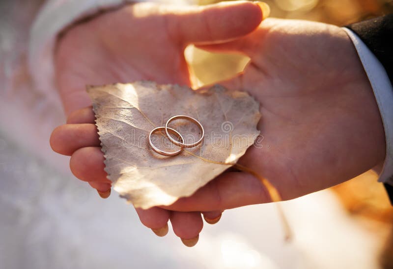 Bride and groom are holding leaf with rings royalty free stock photos