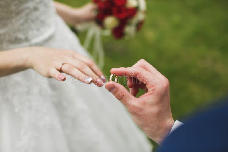 Bride and Groom Put on the Finger a Wedding Ring. Stock Image Image of betrothed, bride 176340155