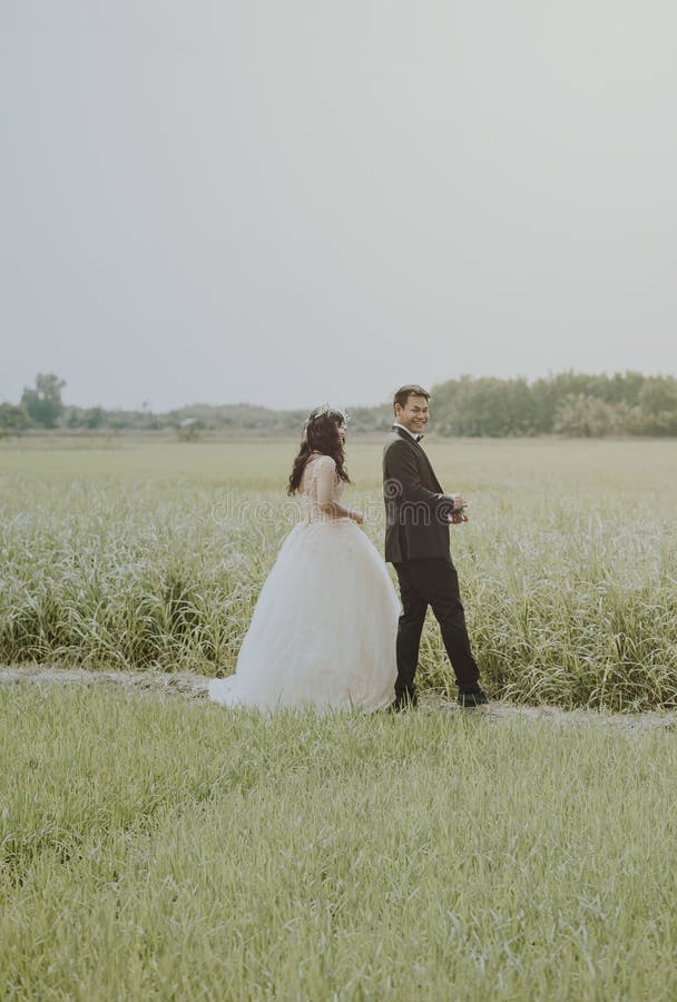 Bride And Groom On Rice Field Picture. Image 113036373
