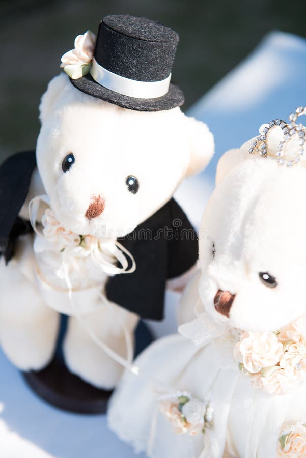Bride and Groom Teddy Bear in Wedding Stock Image Image of suit