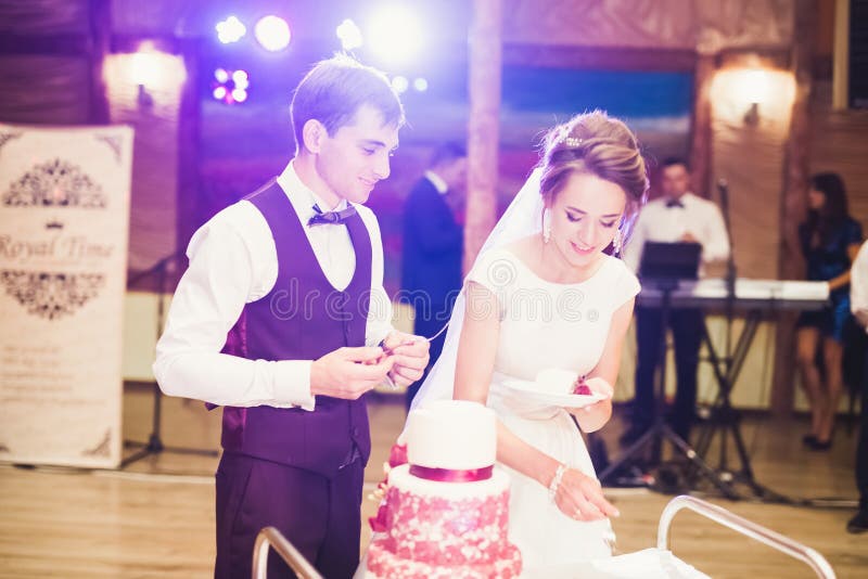 Bride and Groom at Wedding Cutting the Wedding Cake Stock Image Image