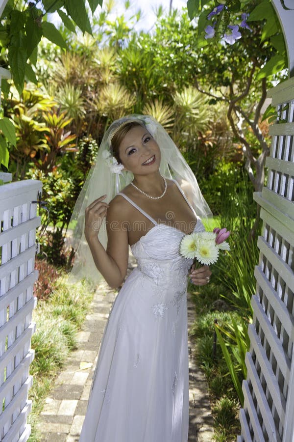 Bride On Her Wedding Day Stock Image Image Of Outdoors 34147433