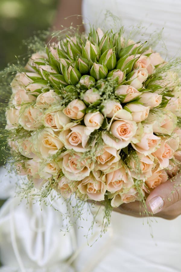 Bride Holding White Wedding Flowers Bouquet Stock Photo Image of
