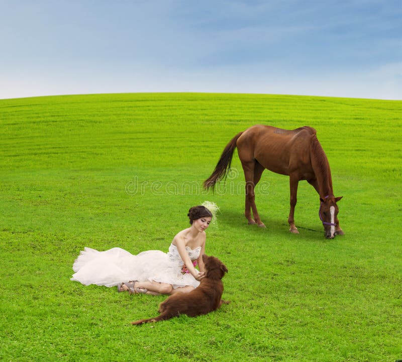 Bride playing with animal on green field stock photography Bride playing with animal on green field stock photography
