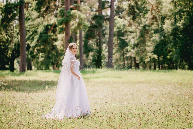 Bride in Veil in the Park in the Meadow Stock Photo - Image of ...