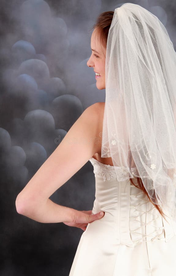 Bride in veiled wedding dress