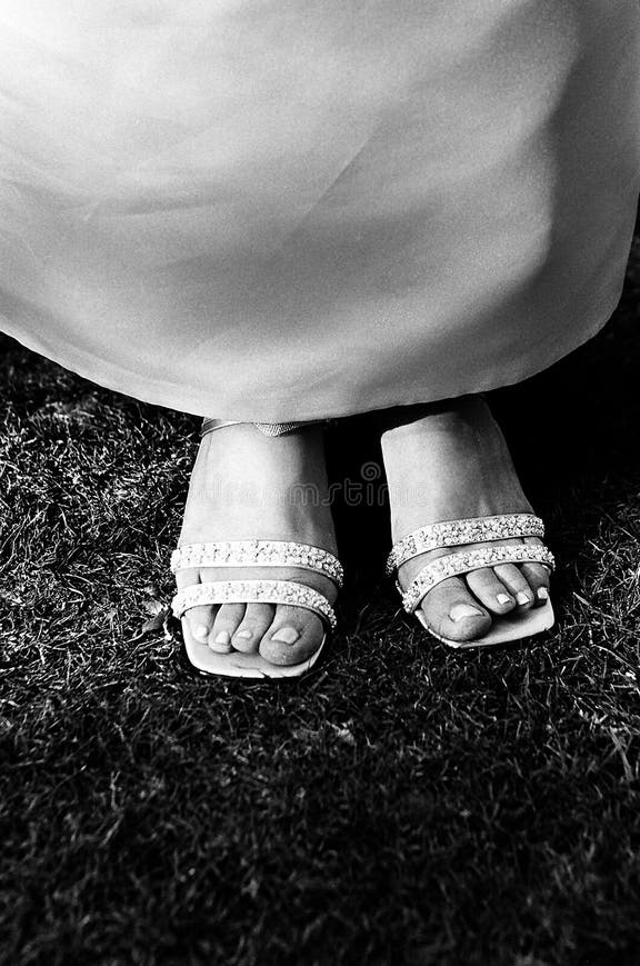 283 Feet Kiss Wedding Stock Photos Free & RoyaltyFree Stock Photos