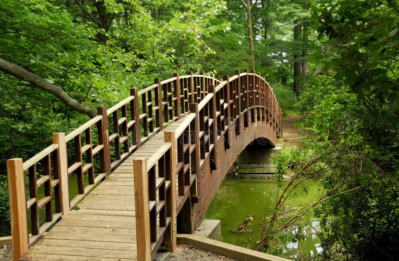 Bridge stock image. Image of deck, preserve, forest, outdoors - 975425
