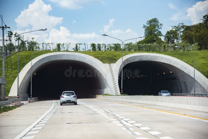 Bridge for animals over a highway forest road tunnel traffic car speed on street stock photography Bridge for animals over a highway forest road tunnel traffic car speed on street stock photography