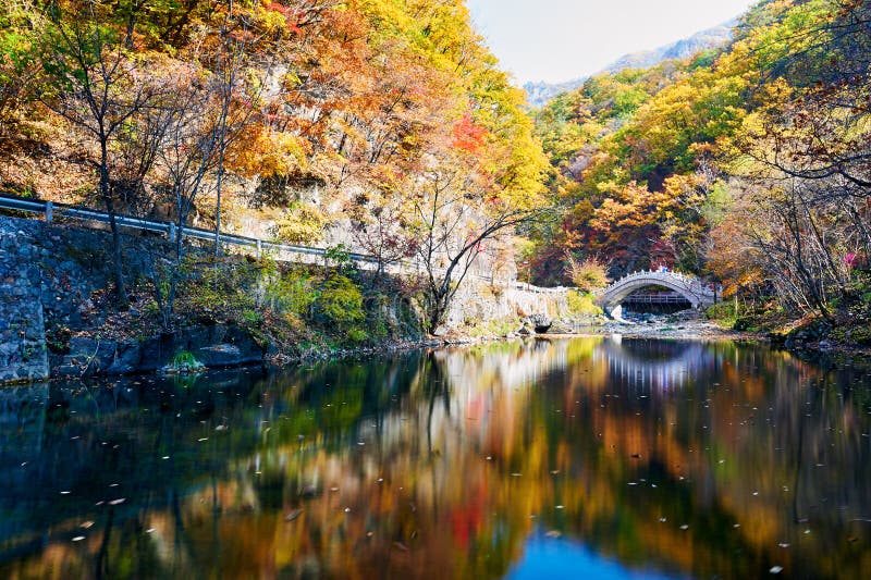 The bridge in autumn scenic