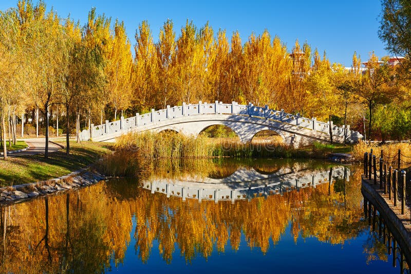 The bridge and autumnal trees lakeside