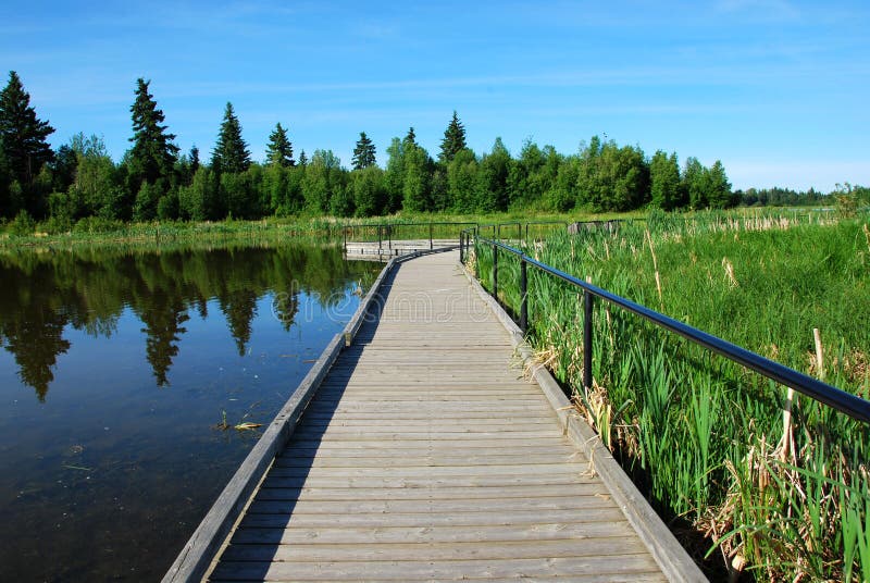 Bridge on the lake