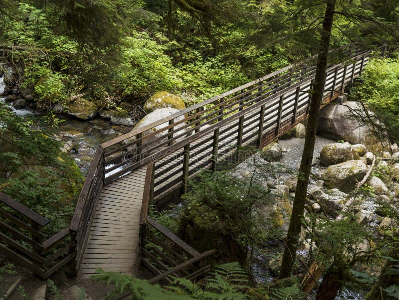 Wooden bridge crossing over small stream into deep woods. Wooden bridge crossing over small stream into deep woods