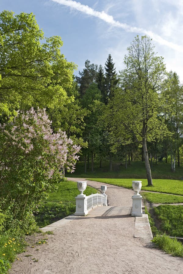 Bridge and lilac in the park vertical