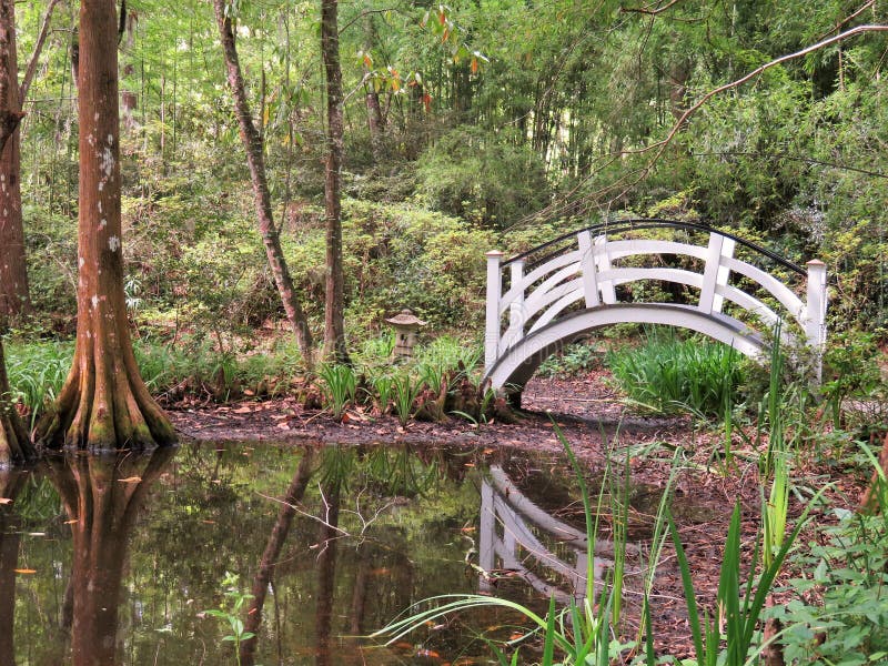 Bridge at Magnolia Plantation in Charleston, SC Stock Image - Image of ...