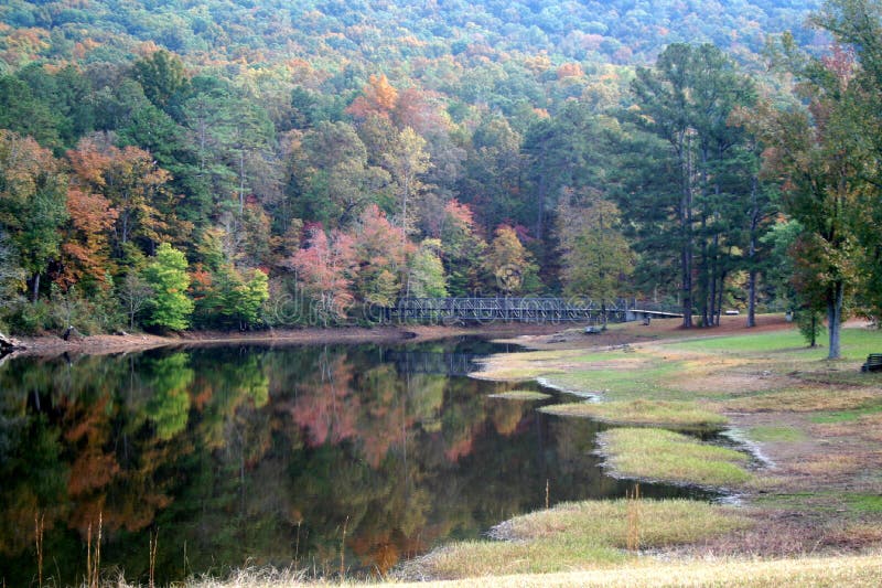 Gallant Alabama Stock Photos Free & RoyaltyFree Stock Photos from