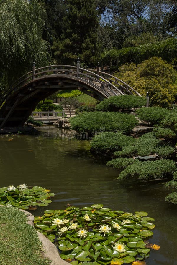 Bridge over a pond with water lilies