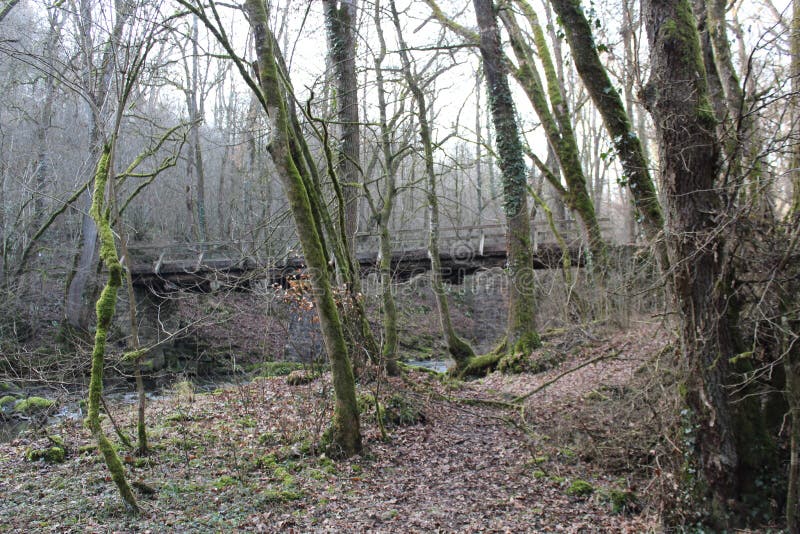Bridge over river trough trees royalty free stock photo