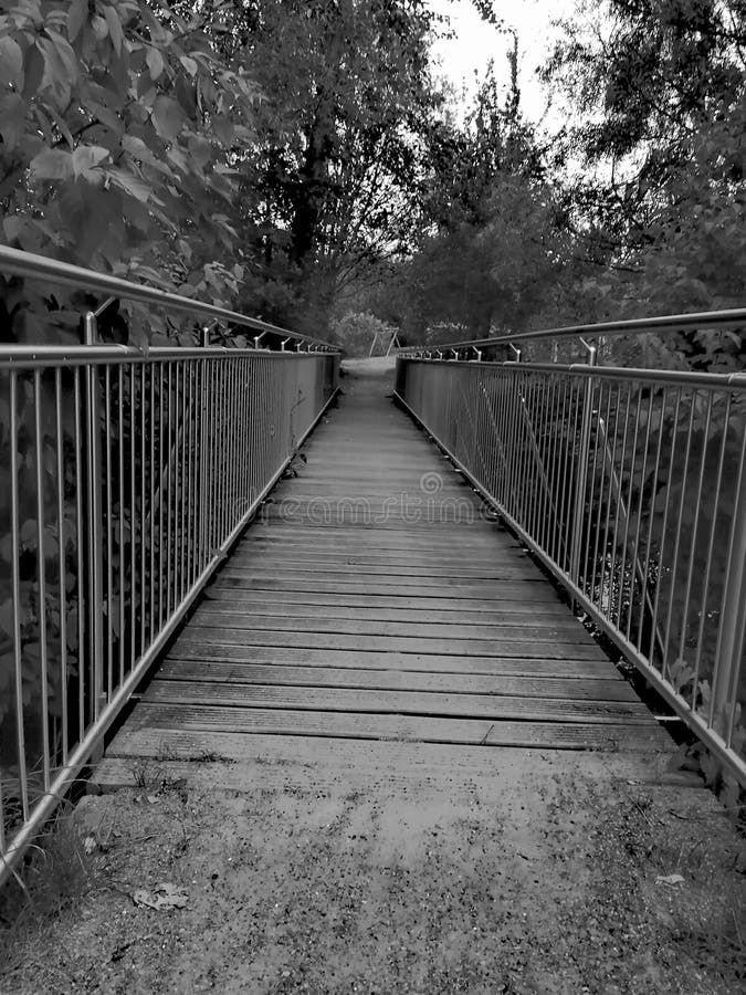 Bridge in the park stock photo. Image of steel, park 159614438
