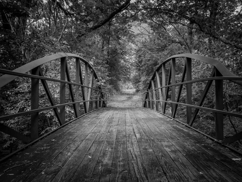 Bridge Path stock photo. Image of wooden, rusted, woodland - 63777022