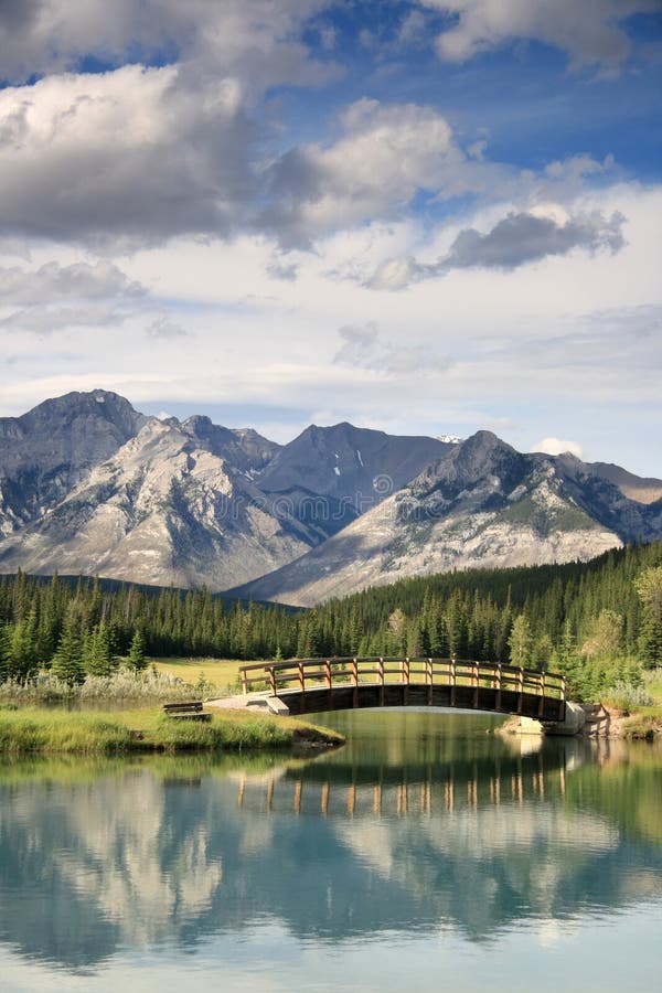 Bridge Reflection