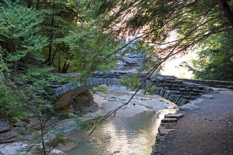 Bridge in the Woods