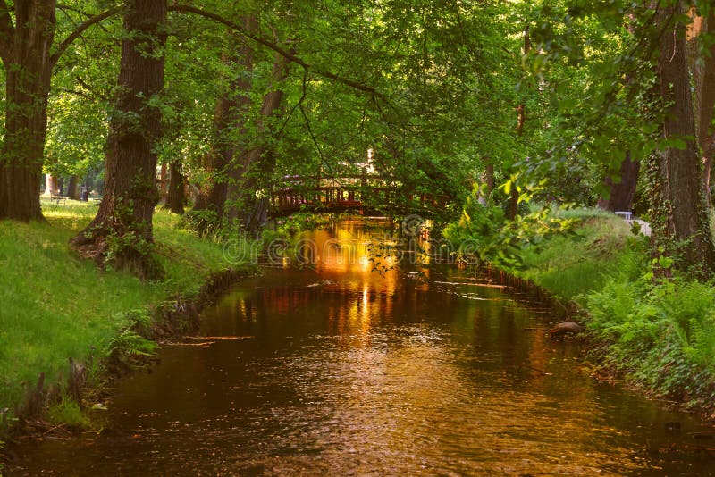 Bridges in the manor park in the city of Iłowa in Poland.