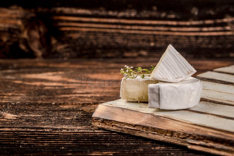 Brie. Camembert. White-mildew soft cheese slice macro shot royalty free stock images