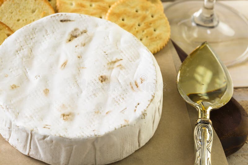 Brie cheese stock photo. Image of food, christmas, appetizer 88435708