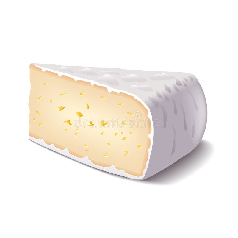Brie Cheese Isolated on White Vector Stock Vector Illustration of