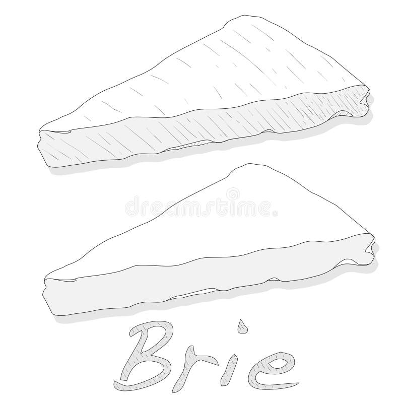 Brie Cheese Vector Isolated Stock Vector Illustration of meal, tasty