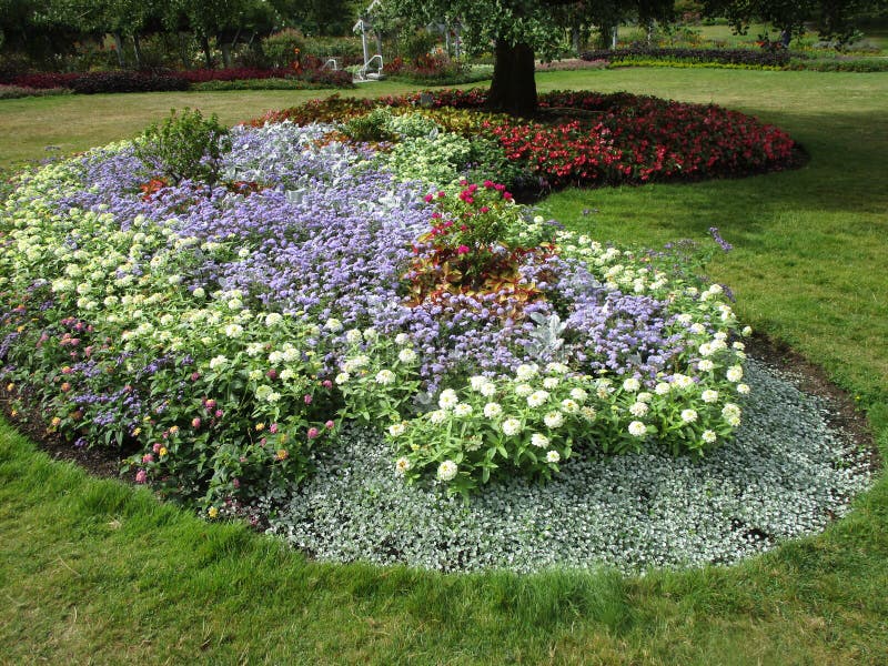 Bright Attractive Blue and Yellow Colorful Flowerbed Blooming in Late ...