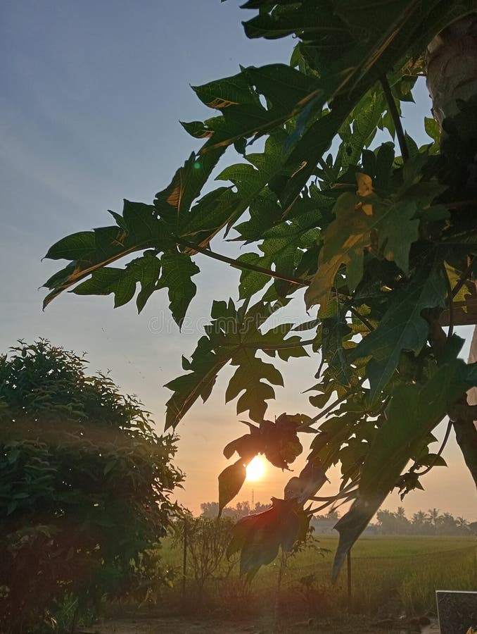 A bright beam of light shining World stock photography