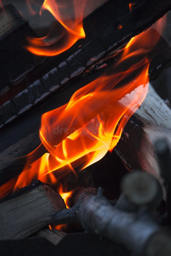 Bright Beautiful Flames on a Fire Made of Wood Stock Image Image of