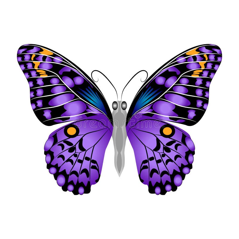 Free 288 Purple Butterfly Svg SVG PNG EPS DXF File