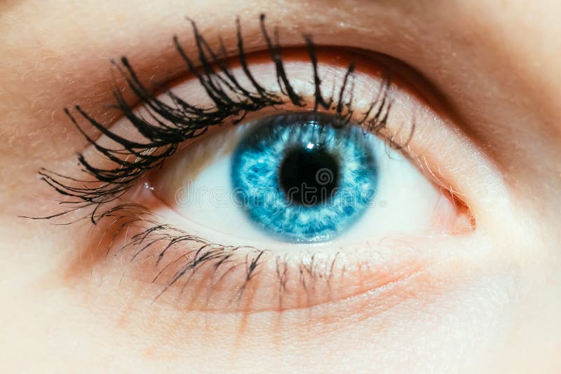 Bright Blue Color Sunset Sky Stock Image Image of weather, blue 57037779