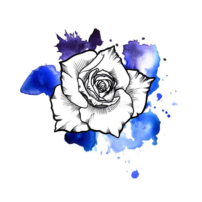 A bright blue formless watercolor blot. Rose ink flower line graphic