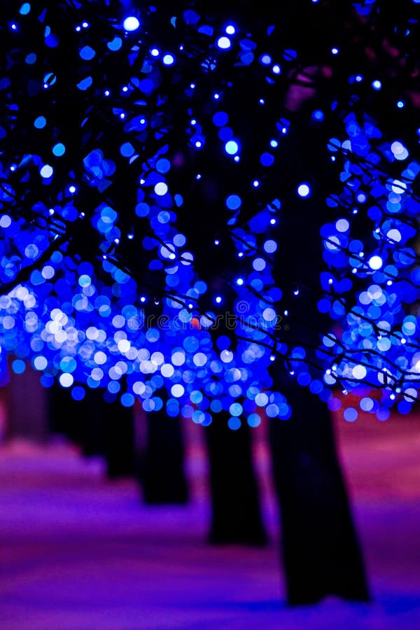 Bright blue holiday lights stock image. Image of night 35156463
