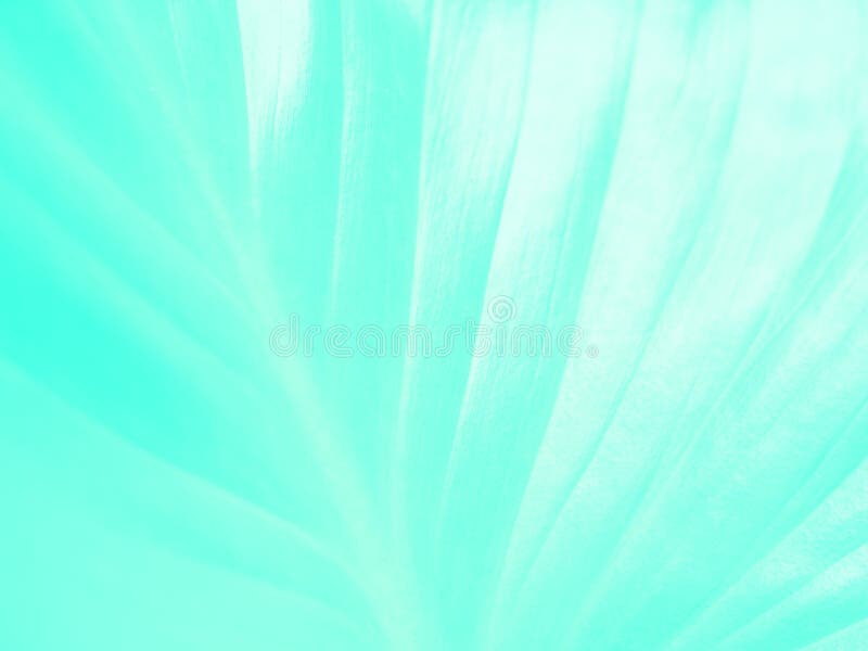 Bright Blue White Abstract Leaf Background Stock Image - Image of