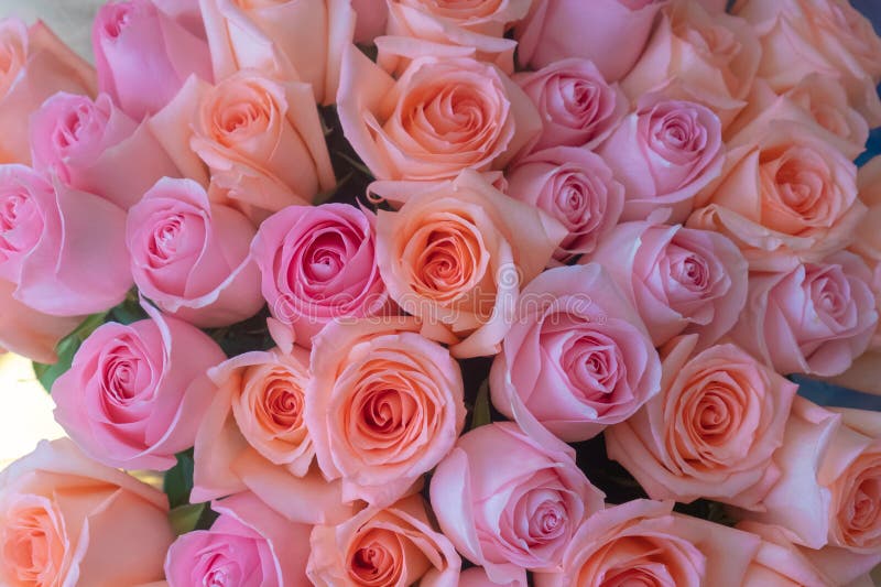 Beautiful red rose bouquet and birthday cake images for a wonderful day