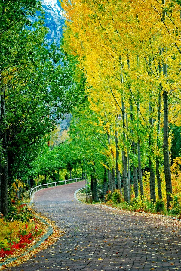 Bright Brick Road stock photos