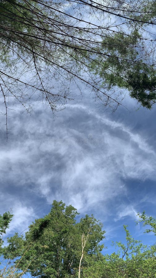 Những đám mây sải cánh trên bầu trời rực rỡ sẽ làm bạn phải trầm trồ ngắm nhìn. Hãy mở hình ảnh để chiêm ngưỡng tuyệt đẹp của những đám mây sáng rực trên bầu trời.