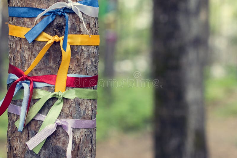 Bright colored ribbons tied around a tree. Religious Tradition of Buddhists stock photos Bright colored ribbons tied around a tree. Religious Tradition of Buddhists stock photos
